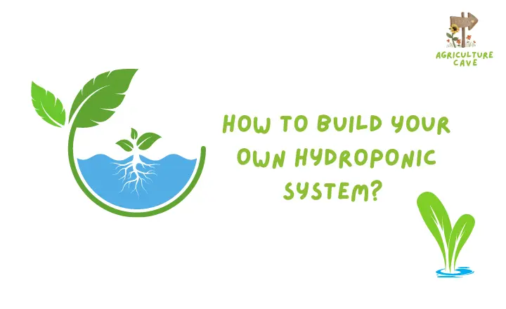 How to Build Your Own Hydroponic System