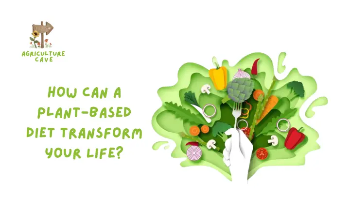 How Can a Plant-Based Diet Transform Your Life