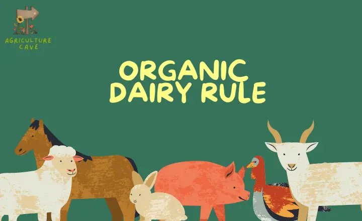 USDA Finalizes Organic Dairy Rule