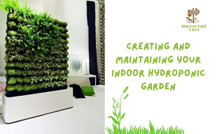 How to Build Your Own Hydroponic System