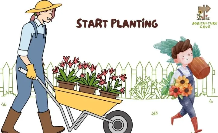 Steps to Start Your Home Garden