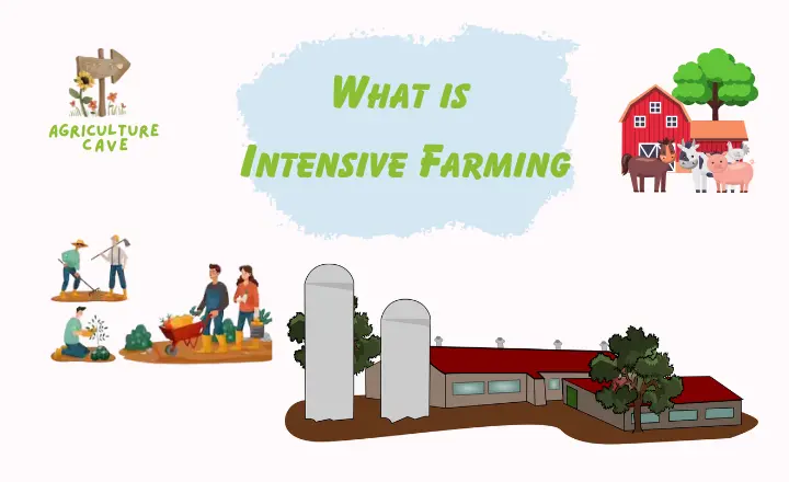 What is Intensive Farming