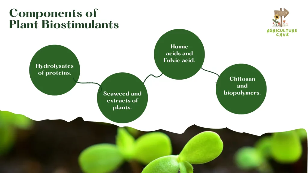 Plant Biostimulants