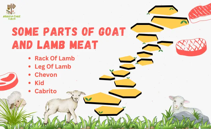 Goat Vs Lamb Meat Which One Is Healthier