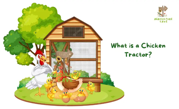 What is a Chicken Tractor