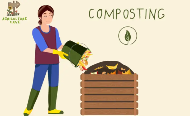 Types of Composting